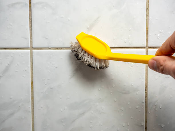 Best Mold Remediation  in Sisters, OR