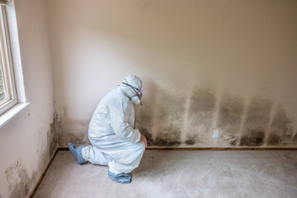 Best Crawl Space Mold Removal  in Sisters, OR